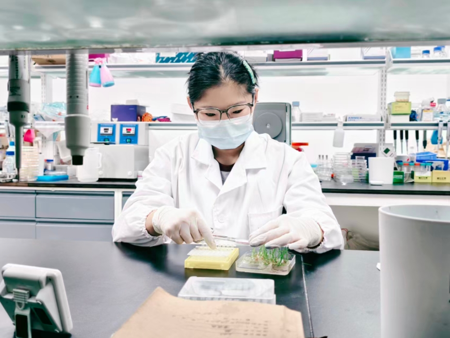 科研人员在取样