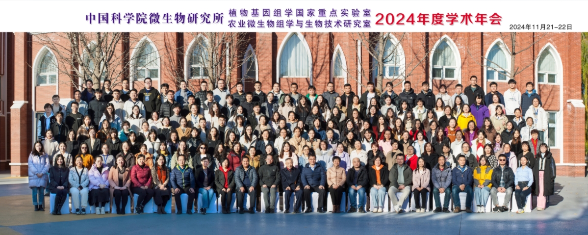 农业室户外拔河比赛.