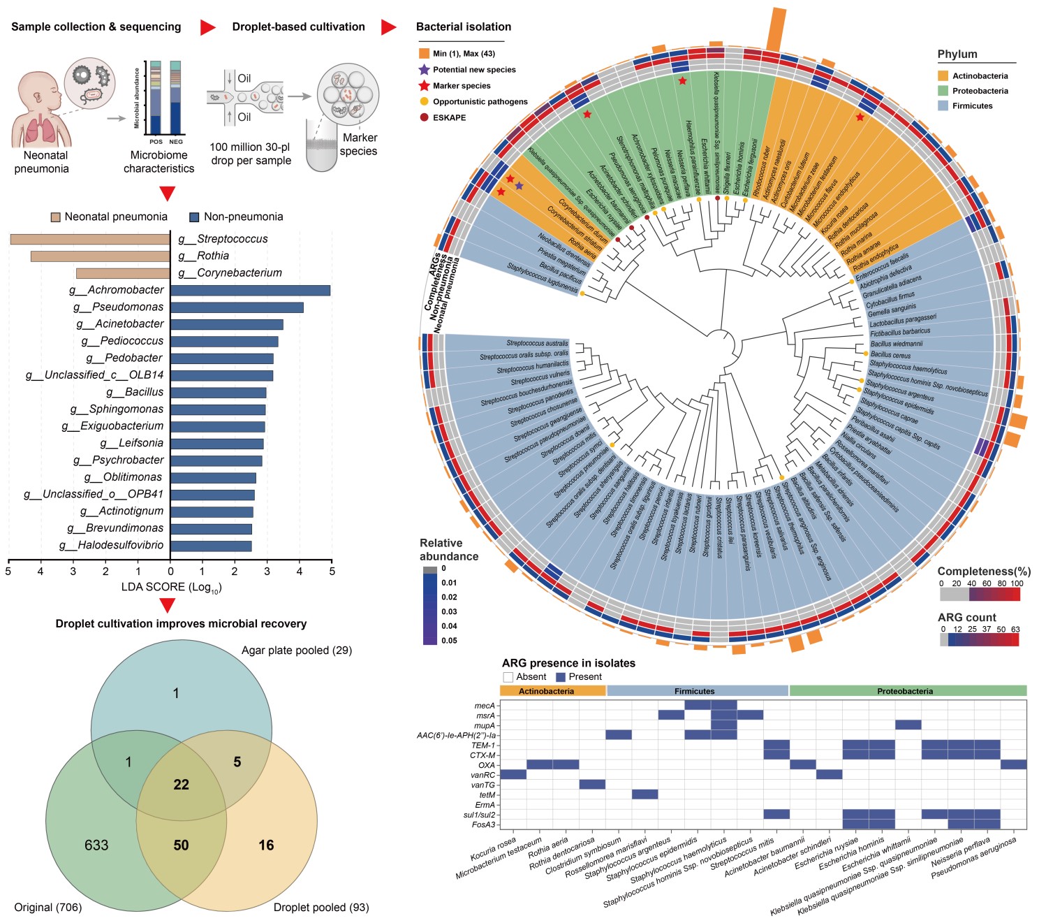 微生物所杜文斌团队开发微滴培养技术 揭示新生儿肺炎特征微生物类群