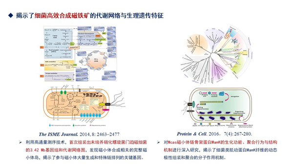 重要生物制剂的生物合成与代谢调控研究组----中国科学院微生物研究所