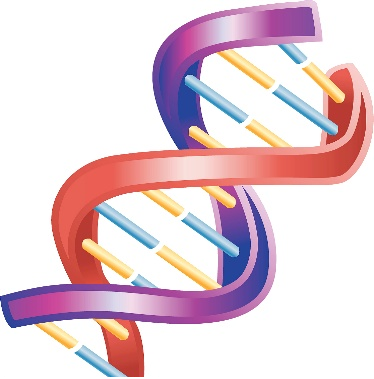 DNA的双螺旋的发现