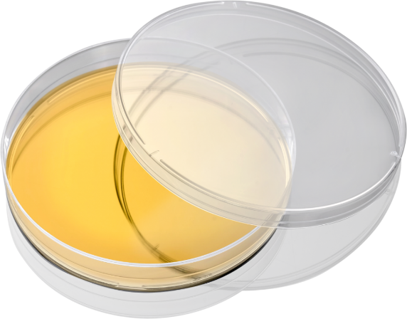 科赫法则和分离纯化技术的建立及重要病原体的发现