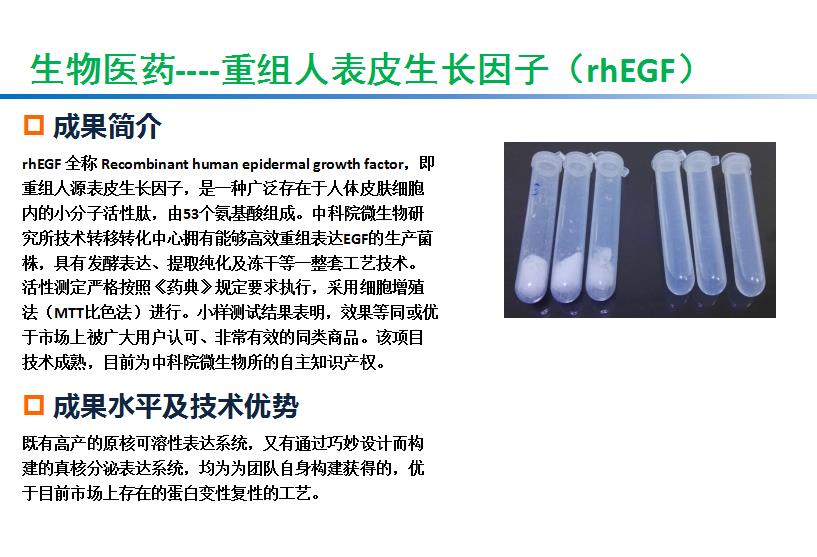重组人表皮生长因子（rhEGF）