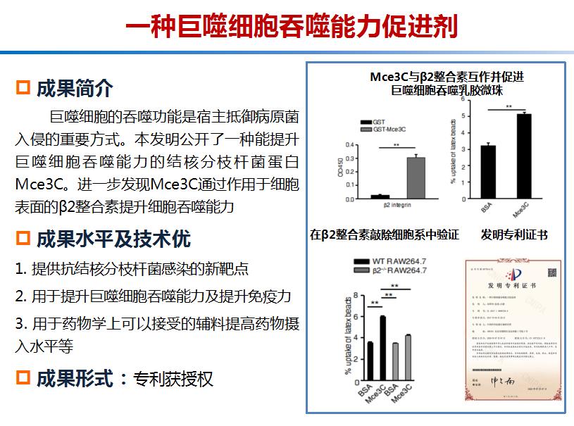 一种巨噬细胞吞噬能力促进剂