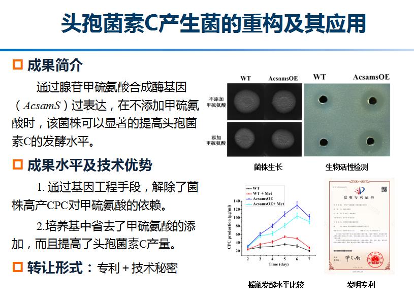 头孢菌素C菌株改造项目
