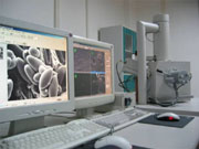 环境扫描电子显微镜