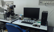 Leica SP8双扫描模式激光共聚焦显微镜