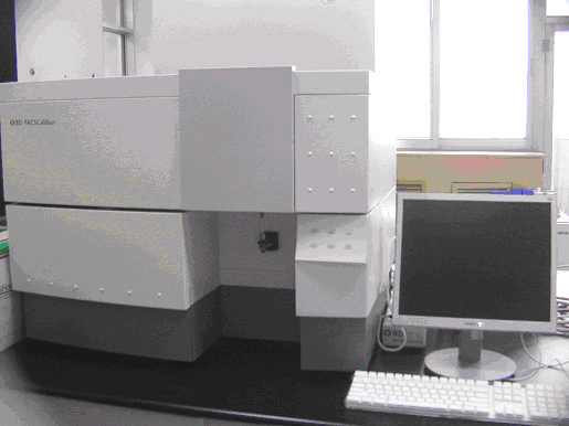 流式细胞分析仪BD FACSCalibur