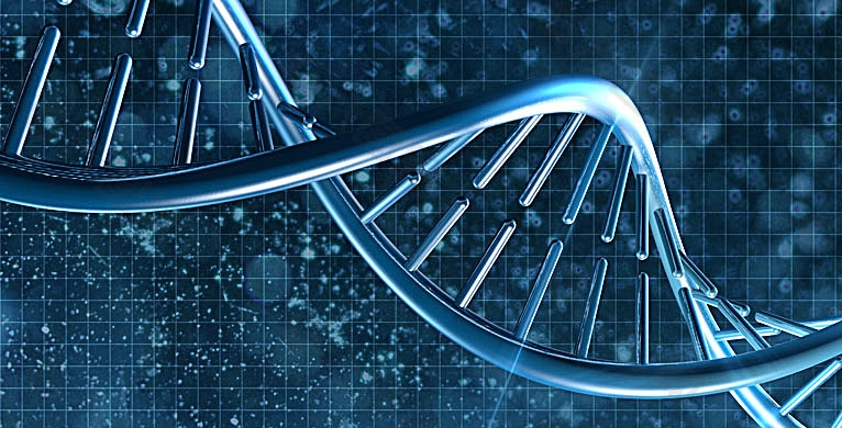 陈义华研究组发现新颖的聚酮类化合物起始机制