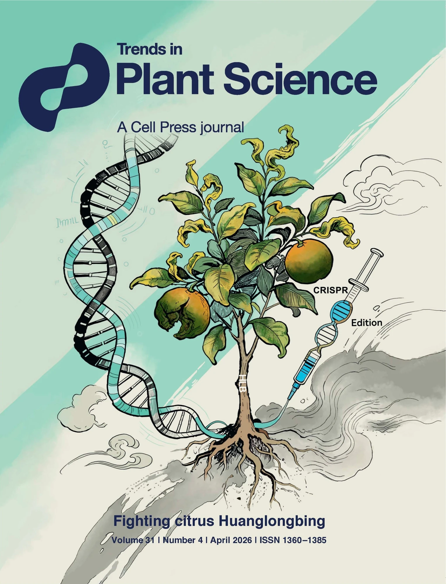 微生物所叶健团队系统解析进化原理驱动柑橘黄龙病防控的创新策略