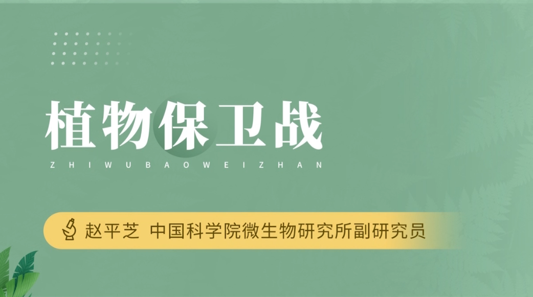 科普 | 植物攻防保卫战