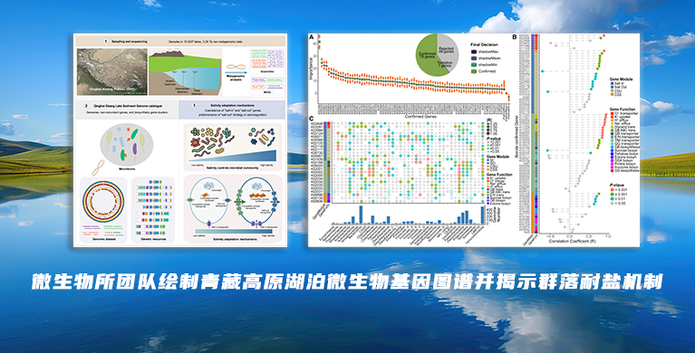 微生物所团队绘制青藏高原湖泊微生物基因图谱并揭示群落耐盐机制